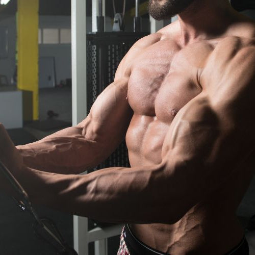 How to Build Lean Muscle