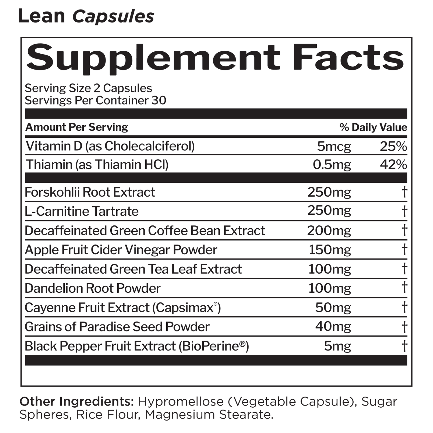 rule 1 l carnitine Lean decadent taste of Rule One R1 Clean Gainer in Chocolate Fudge flavour Premium L-Carnitine (30 SERVINGS) by